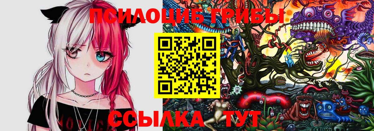 Псилоцибиновые грибы GOLDEN TEACHER  Вход с VPN  Псилоцибиновые грибы GOLDEN TEACHER  Кумертау 